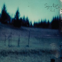 new vinyl